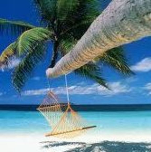 Meet your Posher, Lana - Picture 1 of 1